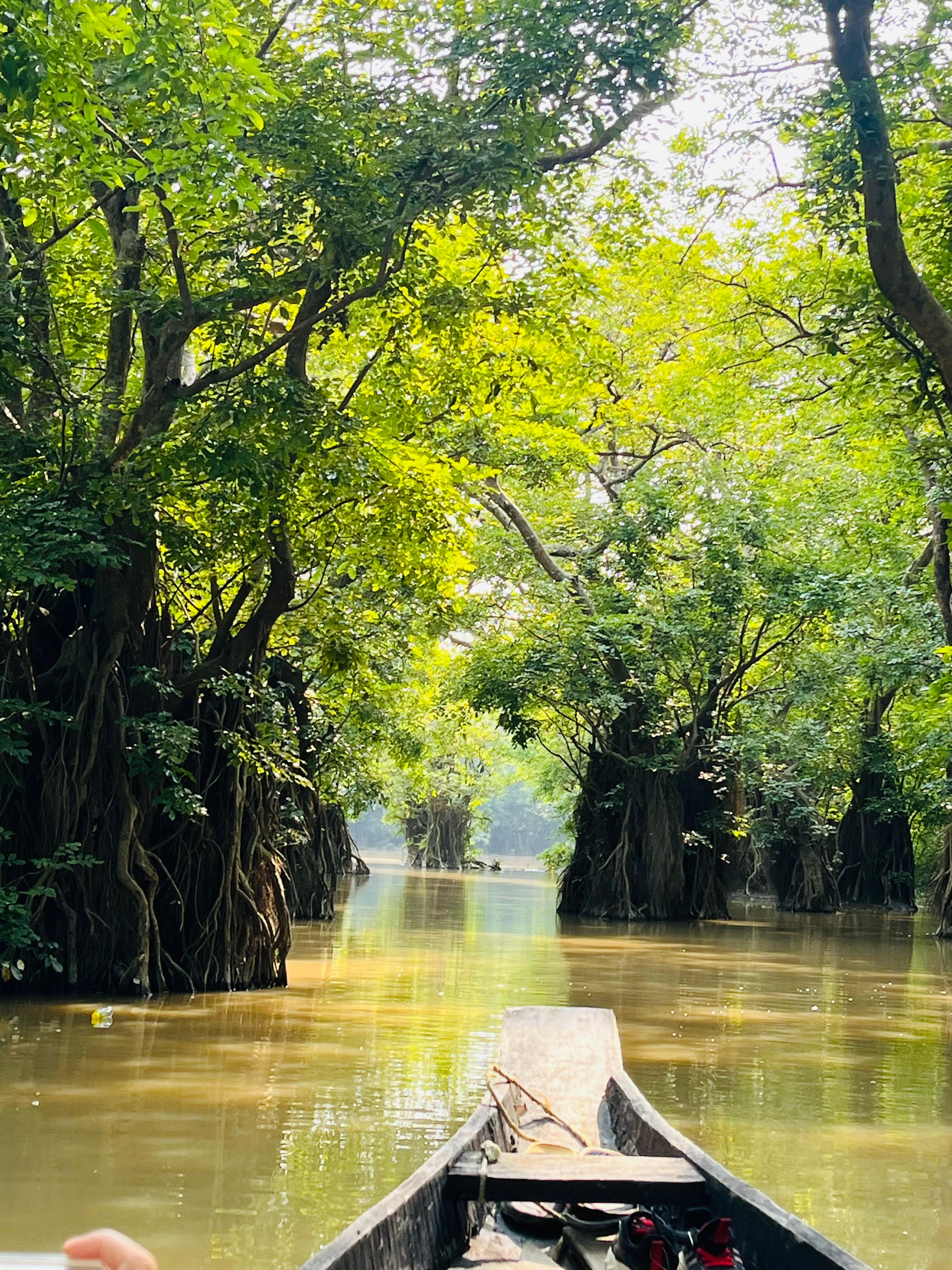 Scenery-3